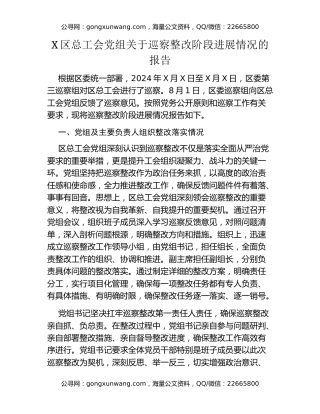 X区总工会党组关于巡察整改阶段进展情况的报告