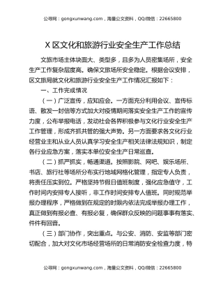 X区文化和旅游行业安全生产工作总结
