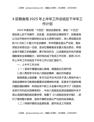 X区粮食局2025年上半年工作总结及下半年工作计划