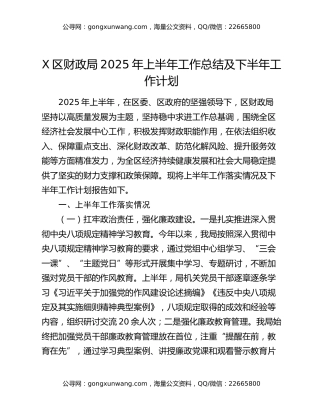 X区财政局2025年上半年工作总结及下半年工作计划