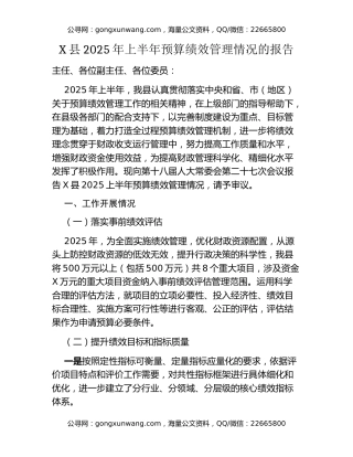 X县2025年上半年预算绩效管理情况的报告