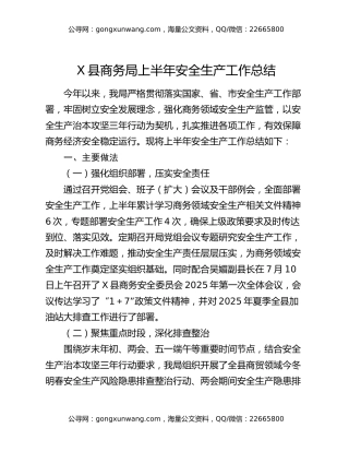X县商务局上半年安全生产工作总结