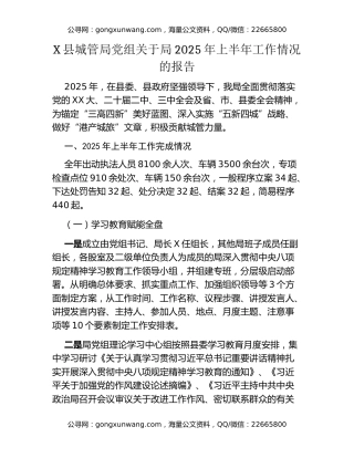 X县城管局党组关于局2025年上半年工作情况的报告