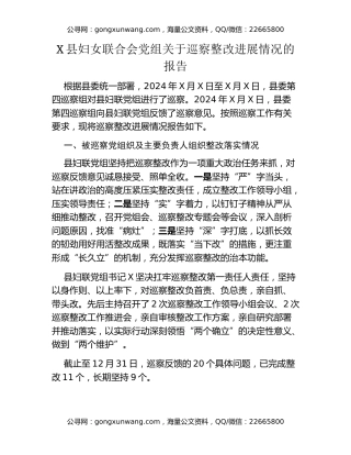 X县妇女联合会党组关于巡察整改进展情况的报告