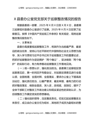 X县委办公室党支部关于巡察整改情况的报告