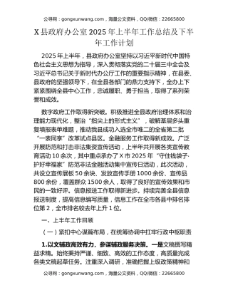 X县政府办公室2025年上半年工作总结及下半年工作计划
