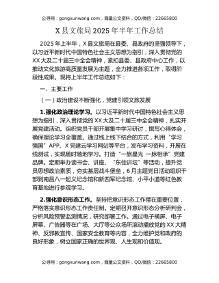 X县文旅局2025年半年工作总结
