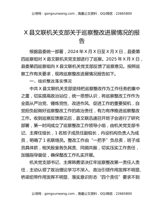 X县文联机关支部关于巡察整改进展情况的报告