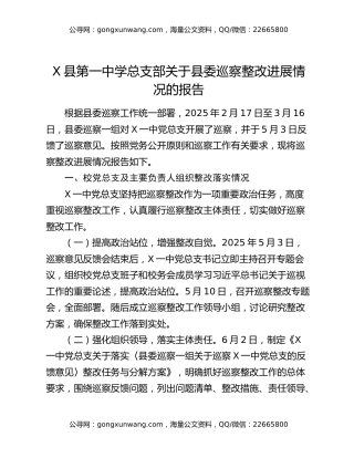 X县第一中学总支部关于县委巡察整改进展情况的报告