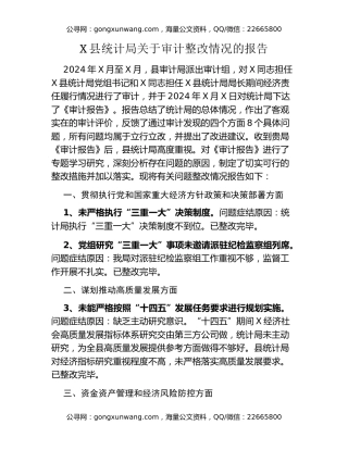 X县统计局关于审计整改情况的报告