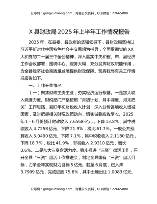 X县财政局2025年上半年工作情况报告