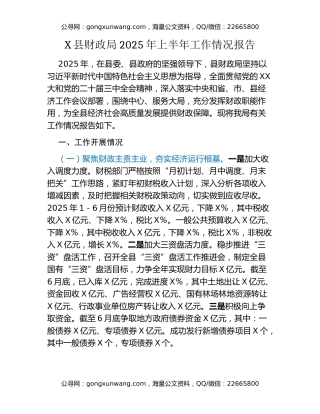 X县财政局2025年上半年工作情况报告