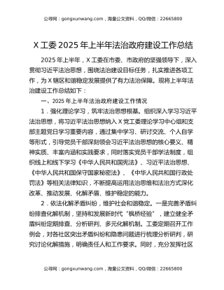 X工委2025年上半年法治政府建设工作总结
