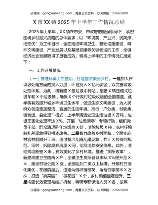 X市XX镇2025年上半年工作情况总结