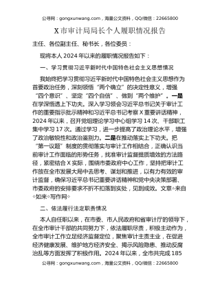 X市审计局局长个人履职情况报告