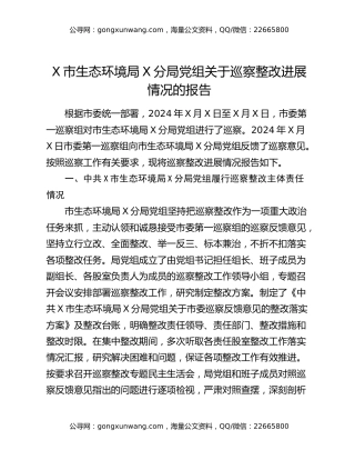 X市生态环境局X分局党组关于巡察整改进展情况的报告