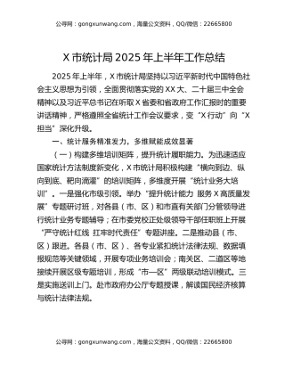 X市统计局2025年上半年工作总结