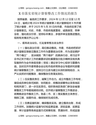 X市落实省统计督察整改工作情况的报告