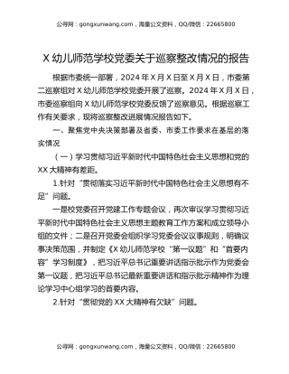 X幼儿师范学校党委关于巡察整改情况的报告