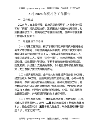 X村2024年度村务工作报告