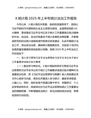 X统计局2025年上半年统计法治工作报告