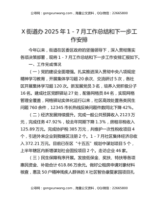 X街道办2025年1-7月工作总结和下一步工作安排