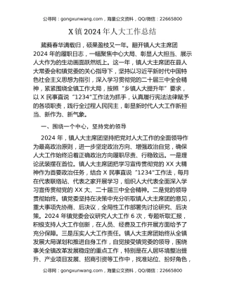 X镇2024年人大工作总结