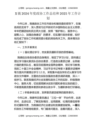 X镇2024年度政协工作总结和2025年工作计划