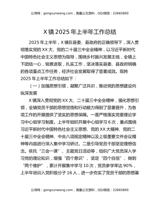 X镇2025年上半年工作总结（2）