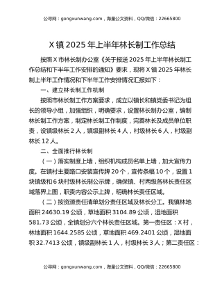 X镇2025年上半年林长制工作总结