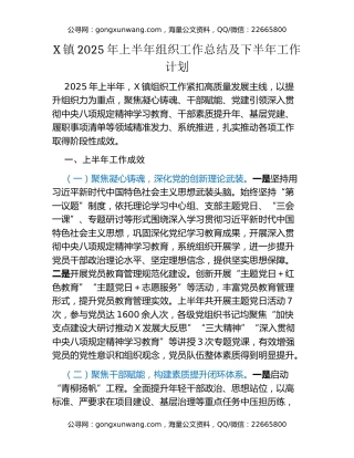 X镇2025年上半年组织工作总结及下半年工作计划