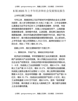 X镇2025年上半年经济和社会发展情况报告