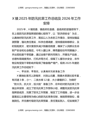 X镇2025年防汛抗旱工作总结及2026年工作安排