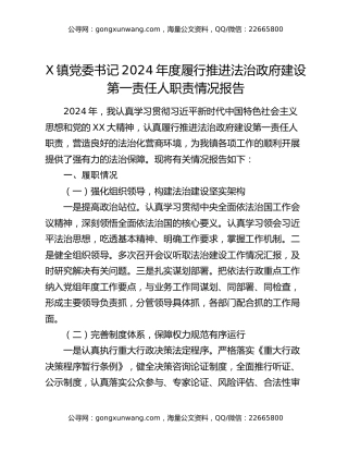 X镇党委书记2024年度履行推进法治政府建设第一责任人职责情况报告