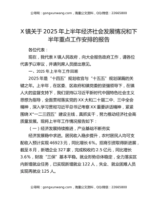 X镇关于2025年上半年经济社会发展情况和下半年重点工作安排的报告
