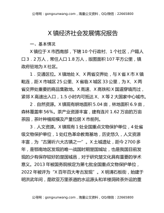 X镇经济社会发展情况报告