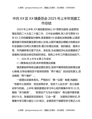 中共XX区XX镇委员会2025年上半年党建工作总结