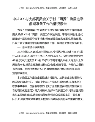 中共XX村支部委员会关于村“两委”换届选举前期准备工作的情况报告
