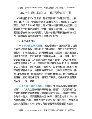 乡镇  街道森林防火工作情况汇报