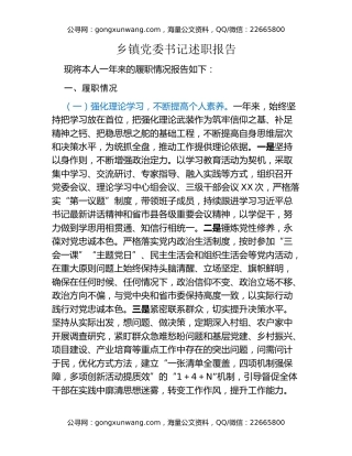 乡镇党委书记述职报告