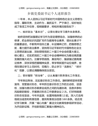 乡镇党委副书记个人述职报告