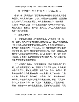 乡镇党建引领乡村振兴工作情况报告