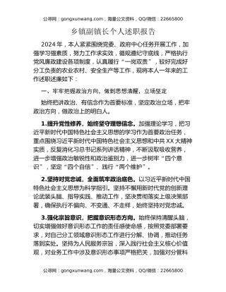 乡镇副镇长个人述职报告 (3)