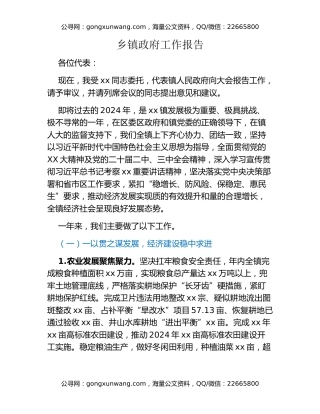 乡镇政府工作报告 (2)