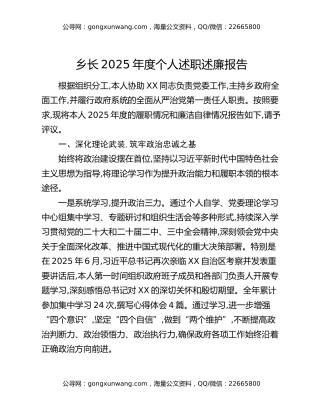 乡长2025年度个人述职述廉报告