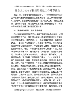 党总支2024年抓基层党建工作述职报告