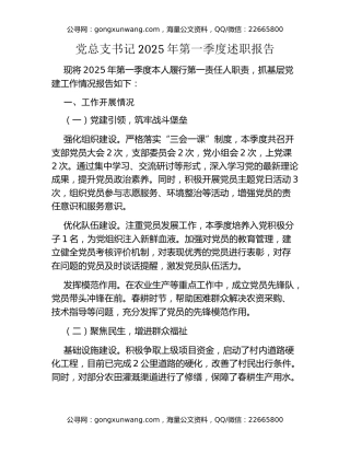 党总支书记2025年第一季度述职报告