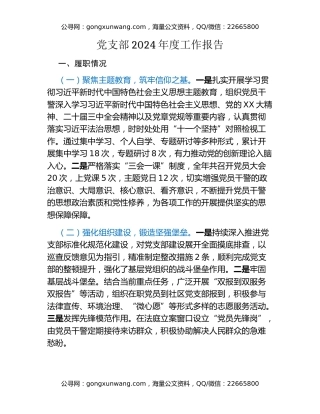 党支部2024年度工作报告