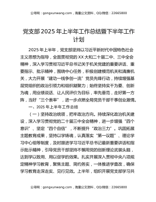 党支部2025年上半年工作总结暨下半年工作计划 (2)