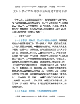 党组织书记2024年度抓基层党建工作述职报告